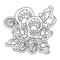 Doodle coloring book page. Forest mushrooms, Acorns, and oak leaves. Anti-stress for adults and children.