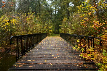 A wooden bridge over the river in the autumn forest.