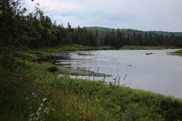 Fototapeta premium Allagash River Scenes