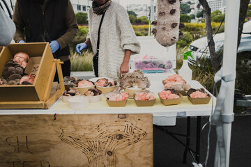 Sunday market stall selling fresh mushrooms at Wellington, New Zealand