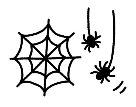 2匹のクモと蜘蛛の巣