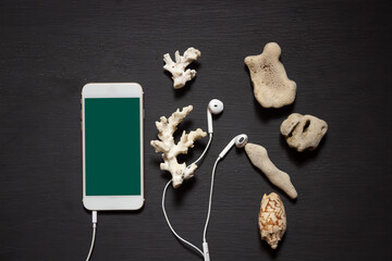 Smartphone with a blank screen