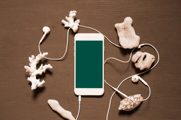 Smartphone with a blank screen