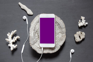 Smartphone with a blank screen