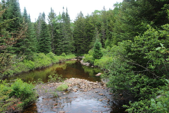 Magnificent view on an Adirondack stream