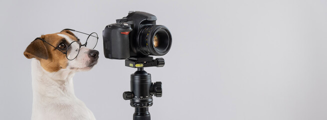 Dog jack russell terrier with glasses takes pictures on a camera on a tripod on a white background