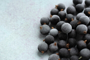 Garden frozen black currant berry in white frost on a light background, top view, recording place