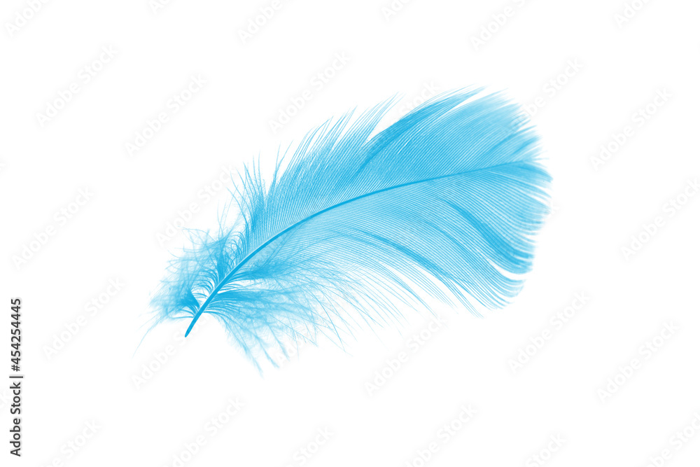 Wall mural beautiful blue feather isolated on white background