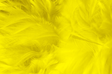 yellow feather texture pattern background