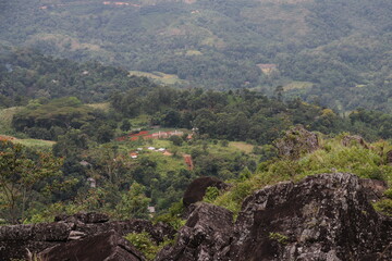 Beautiful landscape in Haputhale
