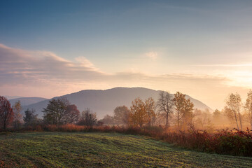 foggy rural landscape at sunrise. beautiful mountainous countryside in late autumn season. empty fields. trees in red and orange foliage. hazy atmosphere