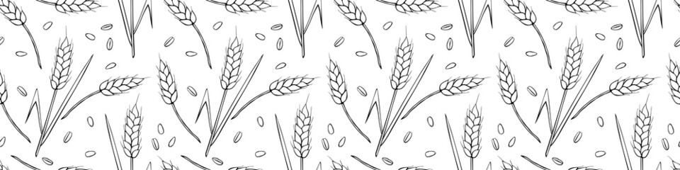 Wheat spikelets and grains, vector seamless pattern. Outline drawn in sketch style isolated. Design of print, wrapping paper, packaging on theme of bakery products, flour, harvest, thanksgiving. © Iuliia