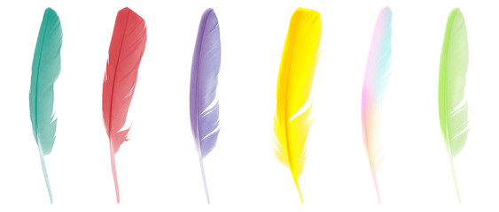 Colorful collection feathers  isolated on white background