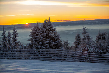 Obraz premium Kvitfjell Ski Resort landscape. Frozen snow-covered firs at orange sunset 