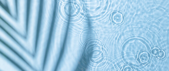 Water panoramic banner background. Blue aqua texture, surface of ripples, rings, transparent, palm...