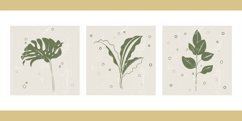 A set of three abstract minimalist aesthetic floral illustrations. Silhouettes of plants on a light background. Modern vector posters for social media, web design in vintage scandinavian style.