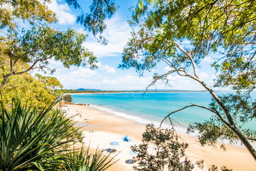 Fototapeta na wymiar Tree branches framing a blue sky beach with sand along the shore.