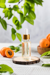 Oil with peach seed extract in a transparent dropper. Natural cosmetics. Copy space.