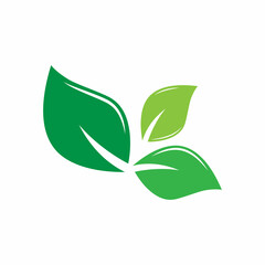 Leaf icon Vector Illustration design Logo template
