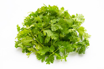 Fresh coriander leaves on white background.