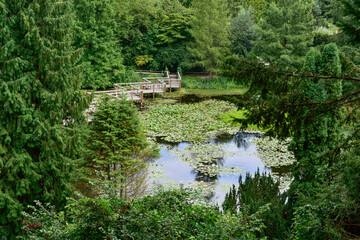 Fototapeta na wymiar Bolestraszyce arboretum, Poland a beautiful green place, trees, shrubs, ponds, flowers on a summer August day.