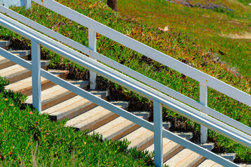 Selective focus of stairs leading to a beach against green grasses
