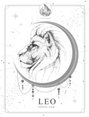 Modern magic witchcraft card with astrology Leo zodiac sign. Realistic hand drawing lion head