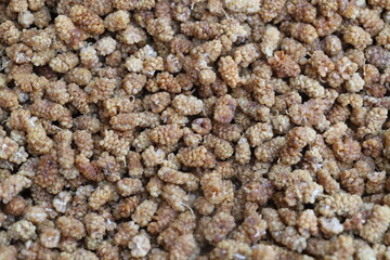 texture of a carpet