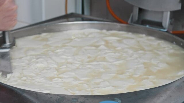 Cheese factory - man worker cutting soft fresh cheese in the vat with a big razor in pieces