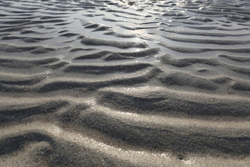 바닷가 모래사장, 물결, 해안가