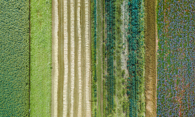 Aerial drone image of fields with diverse crop growth based on principle of polyculture and...