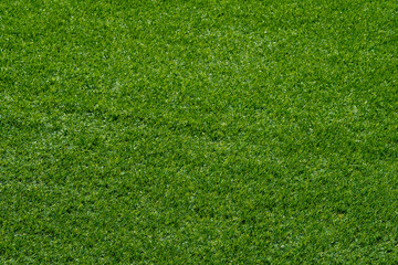 Obraz premium Green grass background, football field 