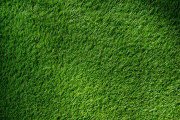 Fototapeta premium Green grass background, football field 