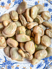 Fava bean