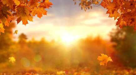 Sunny autumn day with beautiful orange fall foliage in the park. Ground covered in dry fallen leaves lit by bright sunlight. Autumn landscape with maple trees and sun. Natural background. - obrazy, fototapety, plakaty