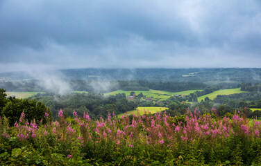 Obraz premium View from Newlands Corner on the Surrey Hills, North Downs on a wet cloudy day in early August
