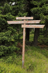 Fototapeta na wymiar old wooden signposts in the Harz Mountains show the way to the Brocken
