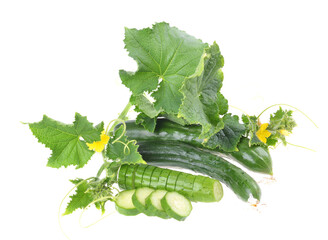 Fresh green cucumber with leaf and flower natural vegetables organic food isolated on white background