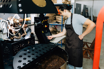 Master controlling brown beans pouring into cooler machine from large coffee roaster while touching controllers to manage the coffee machine