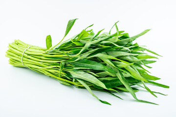 Fototapeta premium Handful of fresh convolvulus on white background