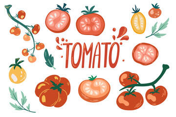 Tomatoes set. Cartoon Vegetables. Tomatoes on the branches, cherry tomato, slices and hand draw lettering. Vegetarian Healthy food. Vector illustration isolated on the white background.