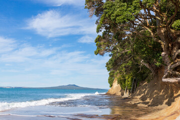 Auckland City North Shore coastline