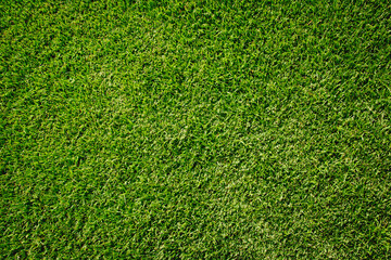 Obraz premium artificial green grass texture for background