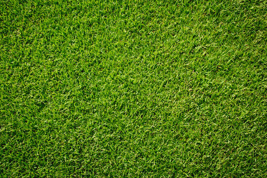 artificial green grass texture for background