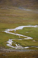 Small stream in Swedish lapland marsh landscape