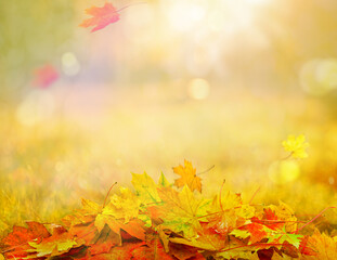 Naklejka na ściany i meble pile of autumn leaves, abstract background