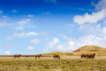 Wild horses grazing against mountain landscape