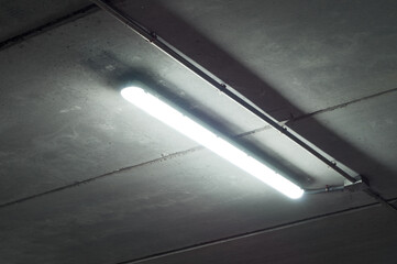 Fluorescent tube lamp in a garage. Mysterious or horror scene or environment with spiders next to...