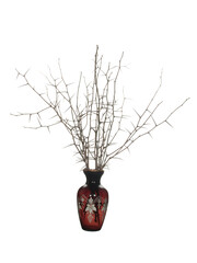 Dry branches of blackthorn with long needles and without leaves in a red glass vase of classical shape isolated on a white background.