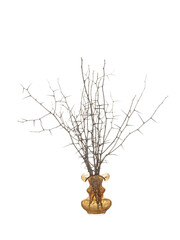 Dry twigs of blackthorn with long needles and without leaves in a yellow glass vase isolated on a white background.